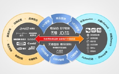 若羽臣IPO:營(yíng)收及凈利潤(rùn)成規(guī)模增長(zhǎng),電商綜合服務(wù)實(shí)力不容小覷