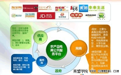 遂昌模式 電子商務服務如何助力農產品電商平臺成功落地