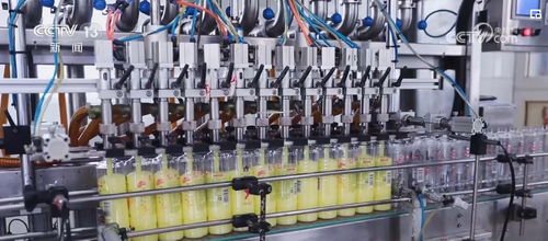 透過數據看變化，雙11購物熱彰顯消費市場活力與電子商務服務提升